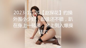 2023-11-20【赵探花】约操外围小少妇，颜值还不错，趴在身上一顿舔，床上侧入爆操骚穴