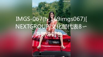 IMGS-067(h_169imgs067)[NEXTGROUP]文化部代表8〜勇気の音色〜