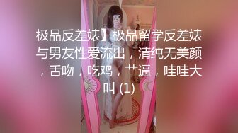 极品反差婊】极品留学反差婊与男友性爱流出，清纯无美颜，舌吻，吃鸡，艹逼，哇哇大叫 (1)