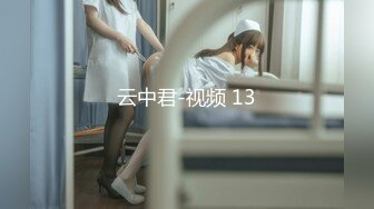 云中君-视频 13