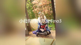 小母狗持续开发中no3